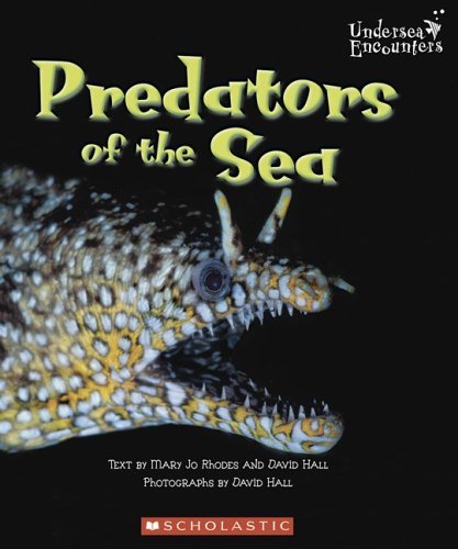 ocean prey paperback